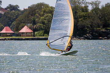 Image showing Sailboarder