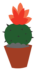 Image showing A cactus vector or color illustration