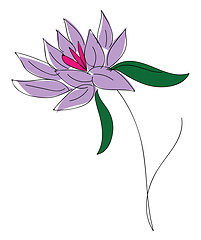 Image showing Purple lflower with green leaves vector illustration on white ba