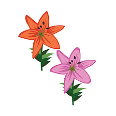 Image showing Vector illustration of orange and violet asiatic lily flowers on