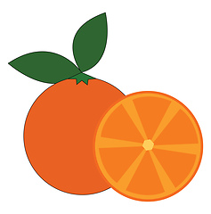 Image showing Fresh orange juice vector or color illustration