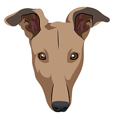 Image showing Greyhound illustration vector on white background