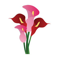 Image showing Vector illustration of red and pink calla lily flowers  on white