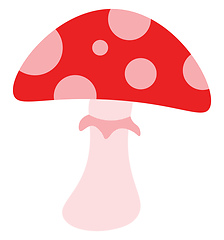 Image showing A red spotted mushroom vector or color illustration