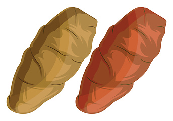 Image showing Dark yellow and orange yam roots vector illustration of vegetabl