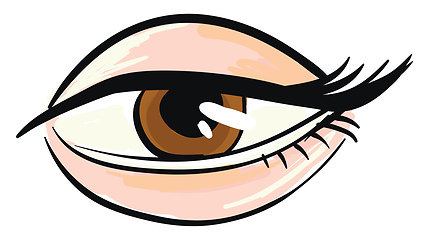 Image showing Woman\'s brown eye White background 