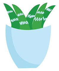 Image showing Plant in vase illustration vector on white background 