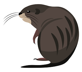 Image showing Cartoon muskrat set on isolated white background viewed from beh