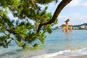 Image showing Itsukushima Shrine