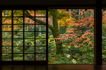 Image showing Japanese hosue with maple tree