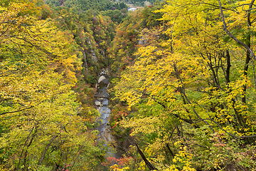 Image showing Narukokyo