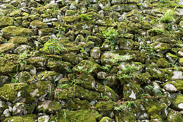 Image showing Old stone wall with moss and lichen