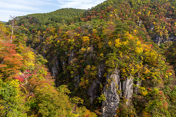 Image showing Naruko canyon with autumn foliage