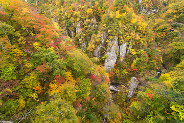 Image showing Autumn Naruko canyon