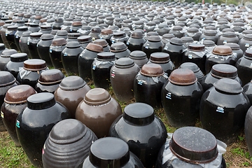 Image showing Production of Vinegar in Barrel