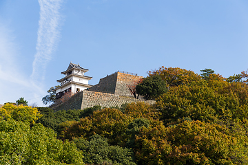 Image showing Marugame Castle in Japan