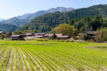 Image showing Japanese old village in Shirakawa