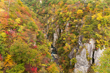 Image showing Naruko canyon