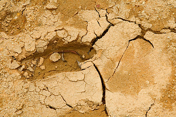 Image showing Footprint on mud