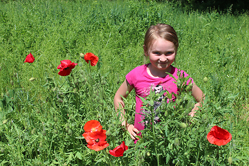 Image showing girl standing in the flower-bed with red poppies
