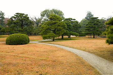 Image showing Lawn and bush