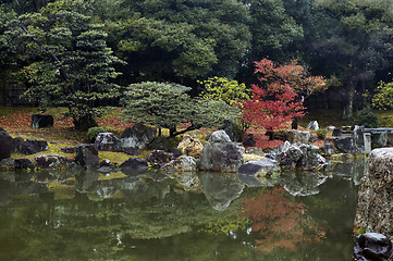 Image showing Gardening