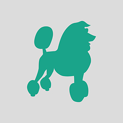 Image showing Poodle icon