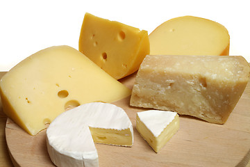 Image showing Expensive cheeses