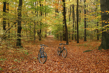 Image showing Bicycle trip