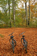 Image showing Bicycles