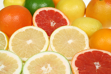 Image showing Citrus fruits