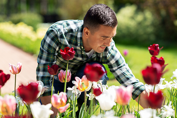 Image showing middle-aged man taking care of flowers at garden