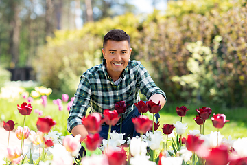 Image showing middle-aged man taking care of flowers at garden