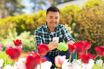 Image showing middle-aged man with smartphone at flower garden