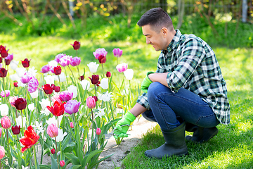 Image showing man with pruner taking care of flowers at garden