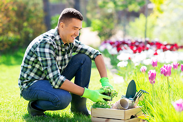 Image showing middle-aged man with tools in box at summer garden