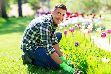 Image showing happy man taking care of flowers at garden