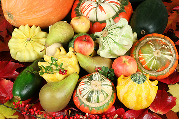 Image showing Fruit of autumn