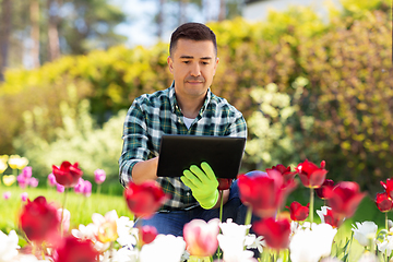 Image showing man with tablet pc and flowers at summer garden