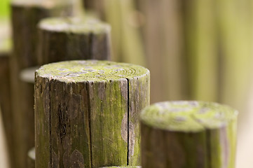 Image showing Line of wooden beams