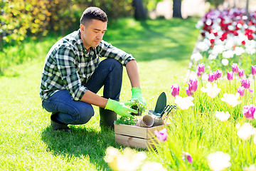 Image showing middle-aged man with tools in box at summer garden