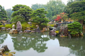 Image showing Gardening