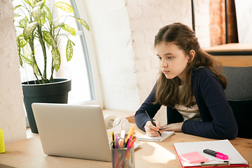 Image showing Little girl studying by group video call, use video conference with teacher, listening to online course