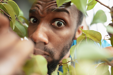 Image showing African-american man looking for job in unusual places at his home