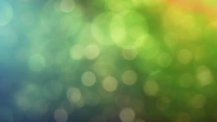 Image showing Multicolored defocused bokeh lights background - horizontal wallpaper, poster