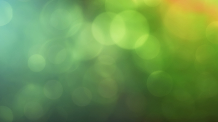 Image showing Multicolored defocused bokeh lights background - horizontal wallpaper, poster