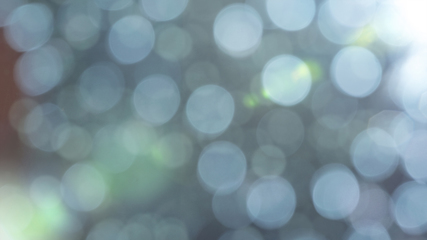 Image showing Multicolored defocused bokeh lights background - horizontal wallpaper, poster