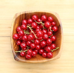 Image showing Red currant.