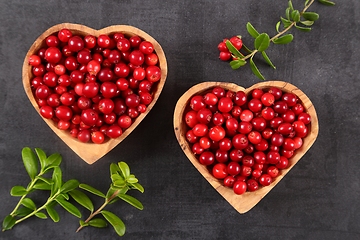 Image showing Cowberries.