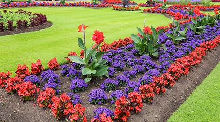 Image showing Floral decorative garden.